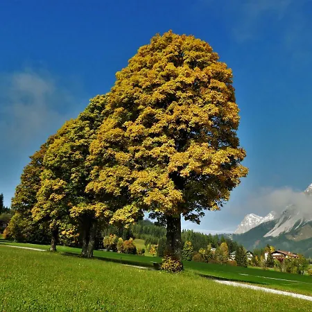 Eggerhof - * Ramsau am Dachstein