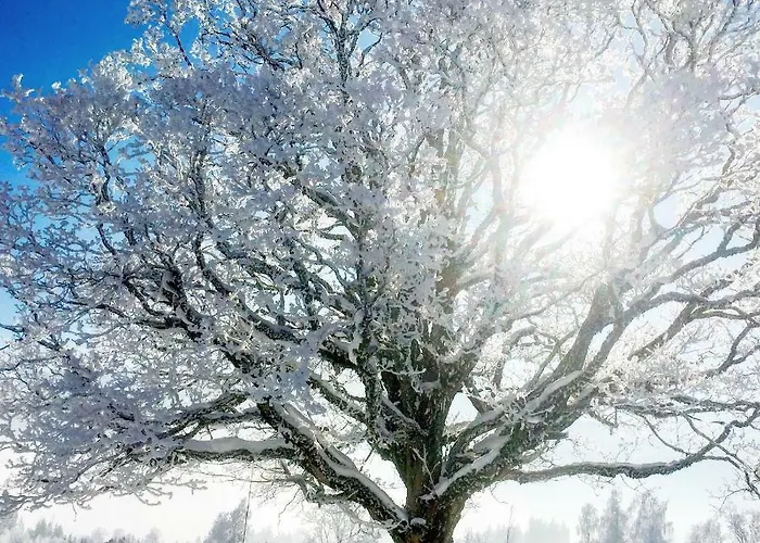 Holiday home Eggerhof - Ramsau am Dachstein