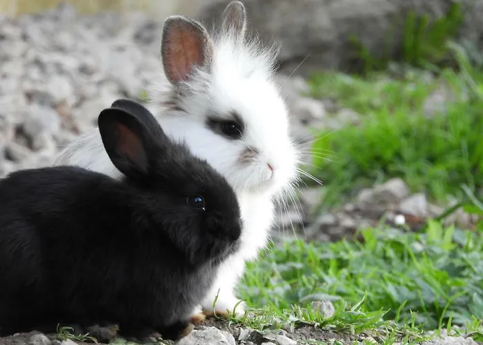 Holiday home Eggerhof -